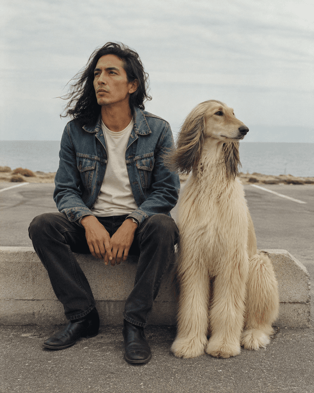 The album cover